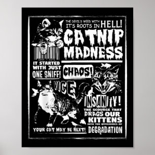 Affiche Catnip Madness Cute Kitten Cadeau Amoureux des cha