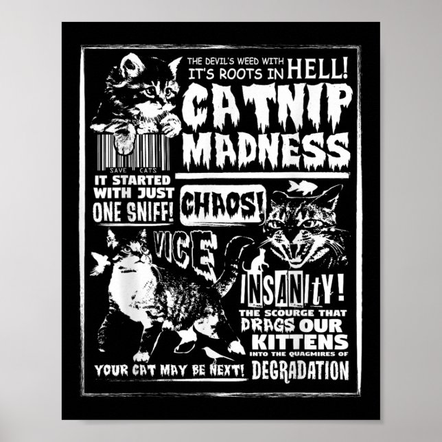 Affiche Catnip Madness Cute Kitten Cadeau Amoureux des cha (Devant)