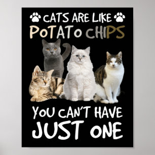 Affiche Cats Are Like Potato Chips Cat Lovers Tee Kitty