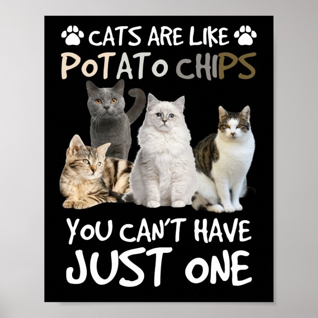 Affiche Cats Are Like Potato Chips Cat Lovers Tee Kitty (Devant)
