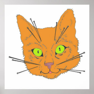 Affiche Cat's Whiskers