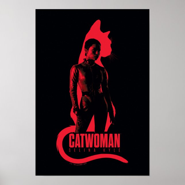 Affiche Catwoman Selina Kyle Chat Silhouette (Devant)
