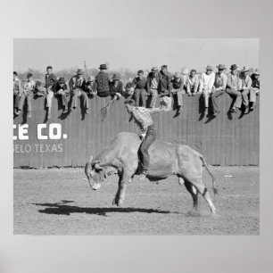 Affiche Cavalier de rodéo sur un taureau, 1940. Photo anci