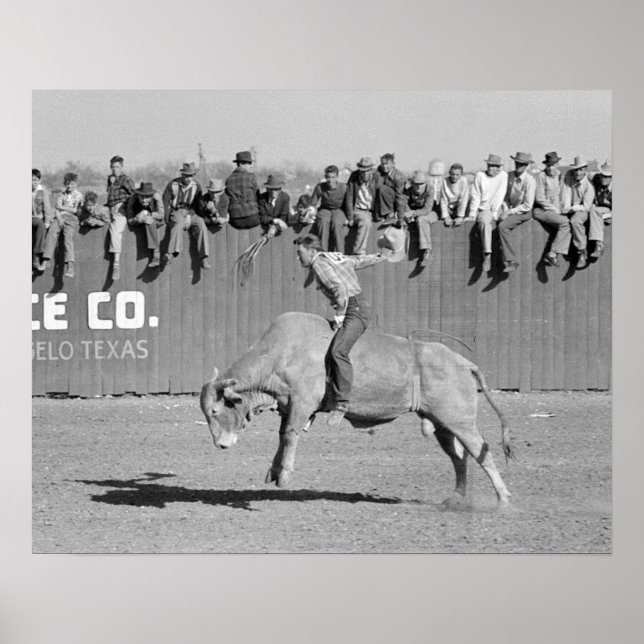 Affiche Cavalier de rodéo sur un taureau, 1940. Photo anci (Devant)
