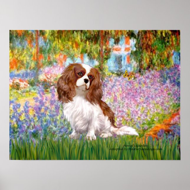 Affiche Cavalier King Charles (Blenheim) - Jardin (Devant)