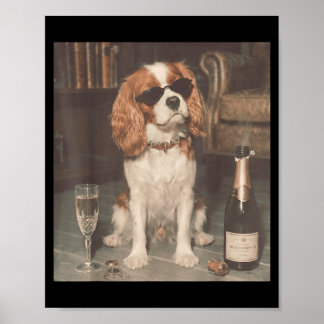 Affiche Cavalier King Charles buvant du champagne drôle