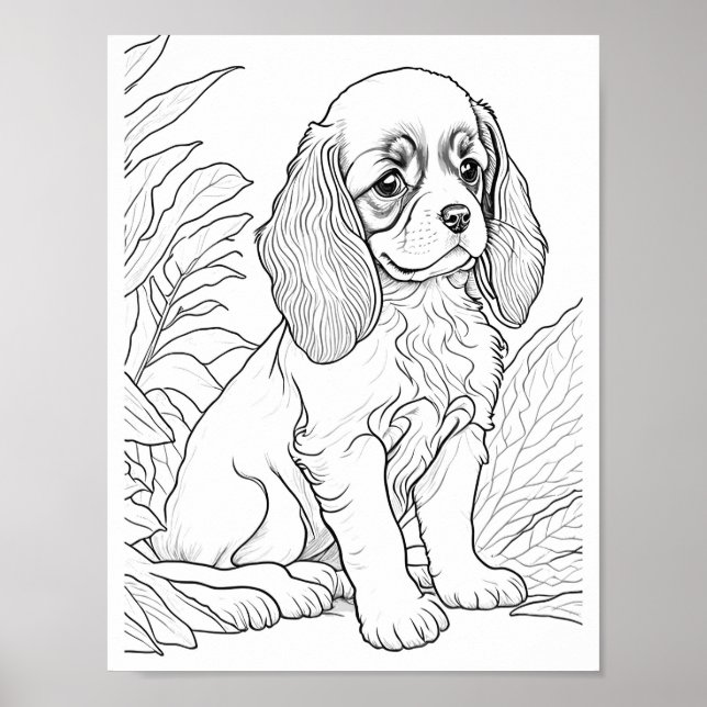 Affiche Cavalier King Charles Dog Coloration adulte (Devant)