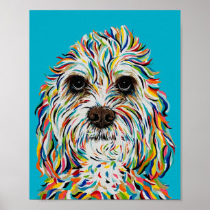 Affiche Cavalier King Charles Spaniel