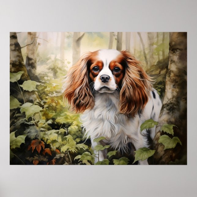Affiche Cavalier King Charles Spaniel (Devant)