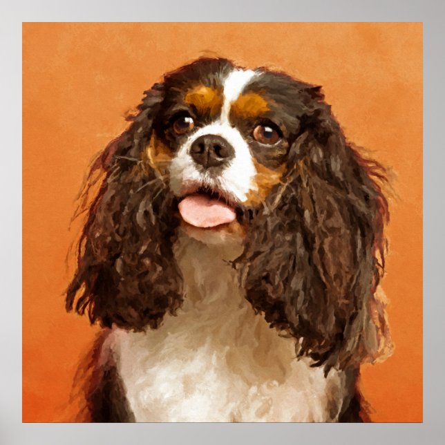 Affiche Cavalier King Charles Spaniel (Devant)