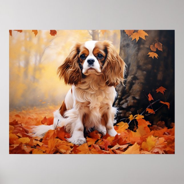 Affiche Cavalier King Charles Spaniel Blenheim (Devant)