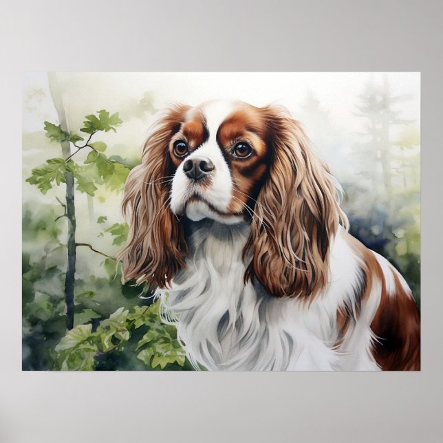 Affiche Cavalier King Charles Spaniel Blenheim (Devant)