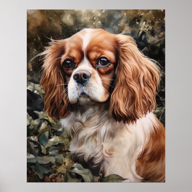Affiche Cavalier King Charles Spaniel Chien Art Imprimer P (Devant)