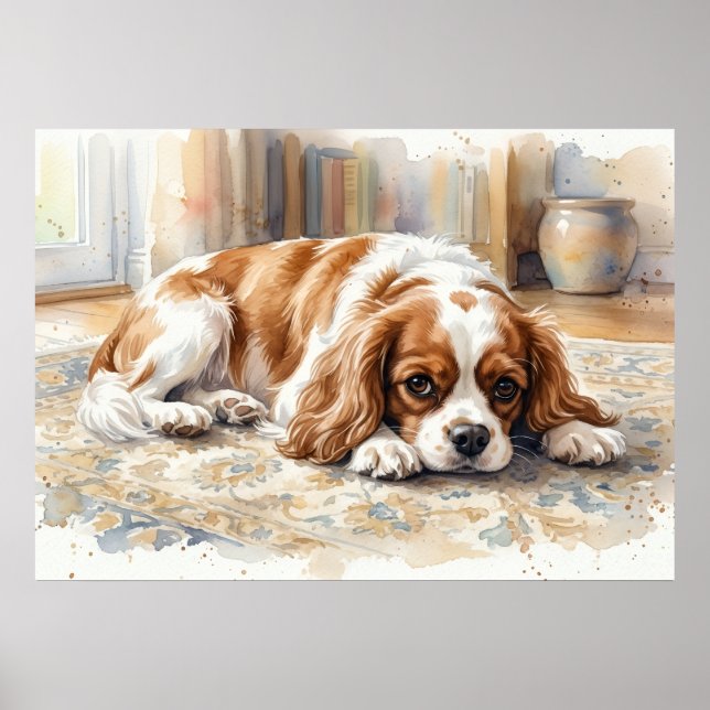 Affiche Cavalier King Charles Spaniel Couché Aquarelle (Devant)