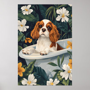 Affiche Cavalier King Charles Spaniel dans la baig