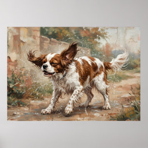 Affiche Cavalier King Charles Spaniel Jouant dans le Jardi