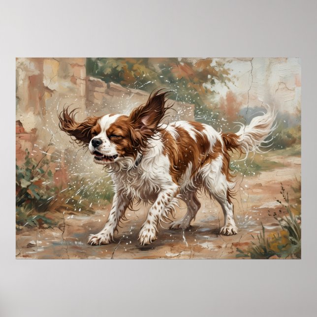 Affiche Cavalier King Charles Spaniel Jouant dans le Jardi (Devant)