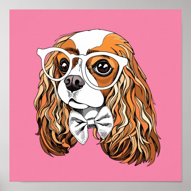 Affiche Cavalier King Charles Spaniel Portrait (Devant)