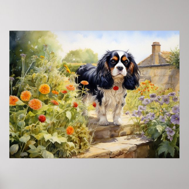 Affiche Cavalier King Charles Spaniel tricolore (Devant)