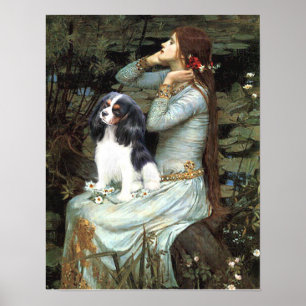 Affiche Cavalier King Charles (tricolor) - Ophélie assise