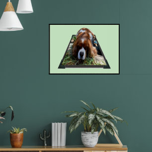 Affiche Cavalier Sooky Face Spaniel,