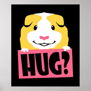 Affiche Cavre de cochon de Guinée   Drôle Cochon de Guinée