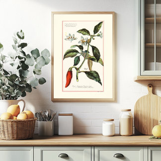 AFFICHE CAYENNE - ILLUSTRATION BOTANIQUE RÉTRO