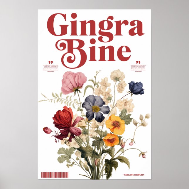 Affiche CDgingrabine (Devant)