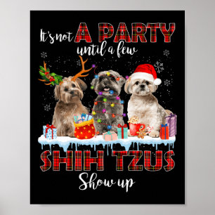 Affiche Ce n'est pas une fête jusqu'à quelques Tzus Chih P