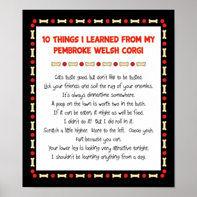 Affiche Ce Que J'Ai Appris De Pembroke Welsh Corgi (Devant)
