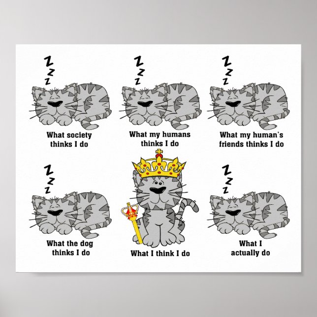 Affiche Ce que le chat pense drôle (Devant)