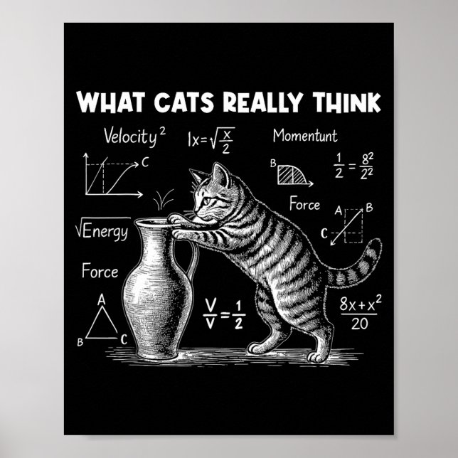 Affiche Ce que les chats pensent vraiment Drôle de physiqu (Devant)