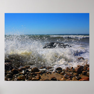 Affiche CèdreArbreCou16x20