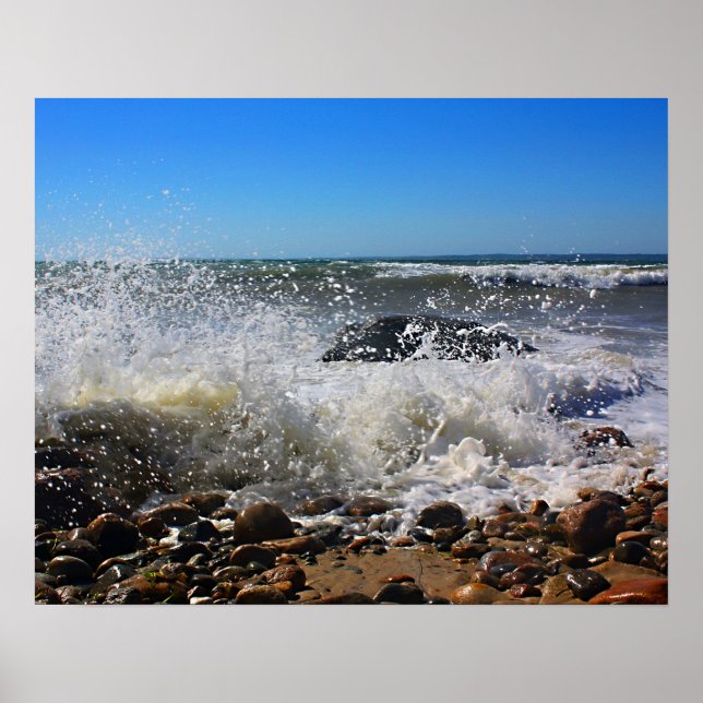 Affiche CèdreArbreCou16x20 (Devant)