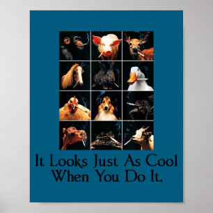 Affiche Cela a l'air cool quand vous le faites drôles anim