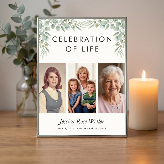 Affiche Célébration de la vie avec eucalyptus 3 Photo de b (Poster available printed or download - Eucalyptus Celebration of Life collection by Darling & May)