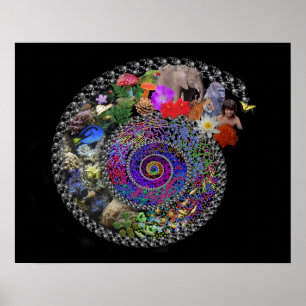 Affiche Célébrer l'évolution