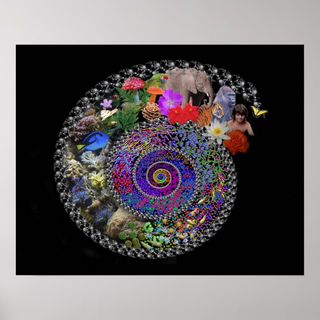 Affiche Célébrer l'évolution (Devant)