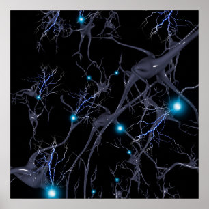 Affiche Cellules cérébrales. Neurones