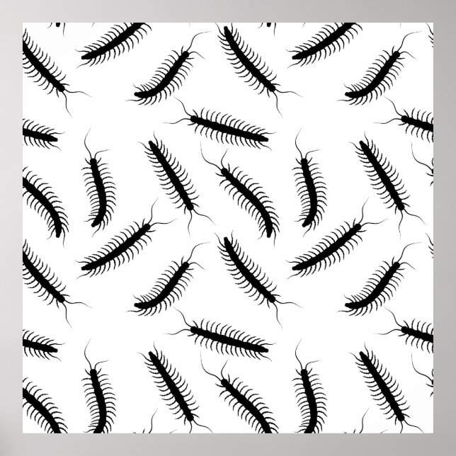 Affiche Centipedes (Devant)