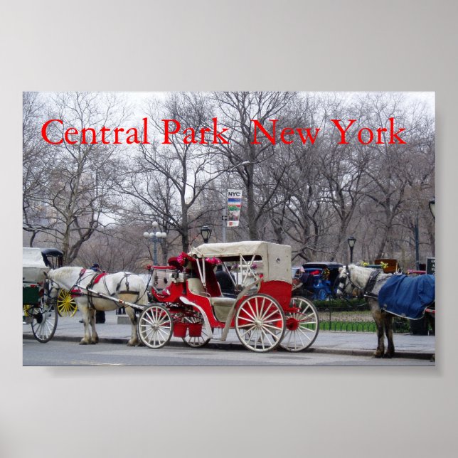 Affiche Central Park / New York (Devant)