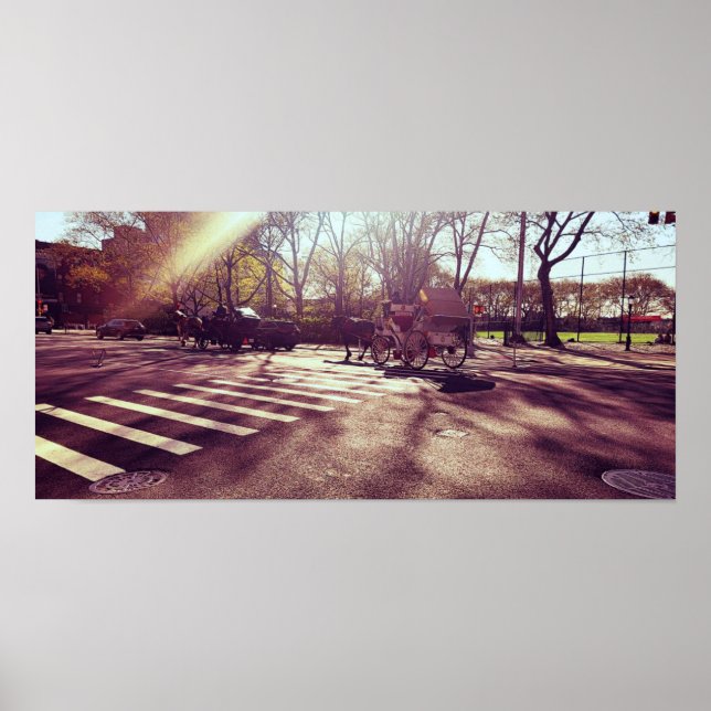 AFFICHE CENTRAL PARK NEW YORK (Devant)