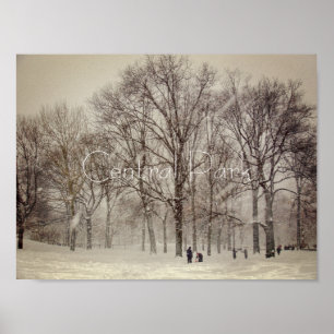 Affiche Central Park, NYC