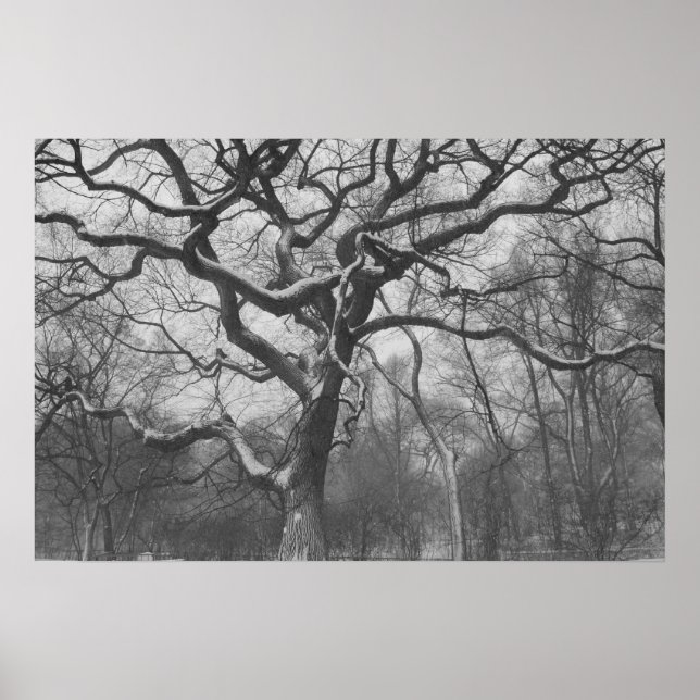 Affiche Central Park, NYC (Devant)