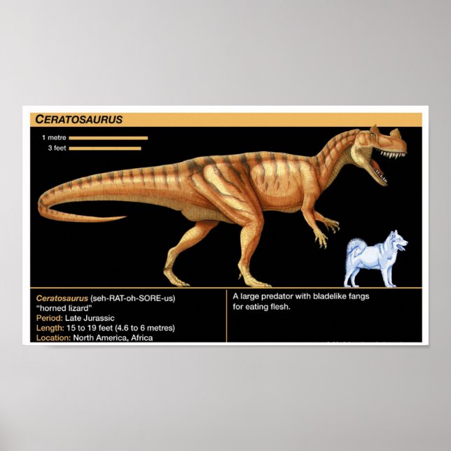 Affiche Ceratosaurus - Biologie Jurassique (Devant)