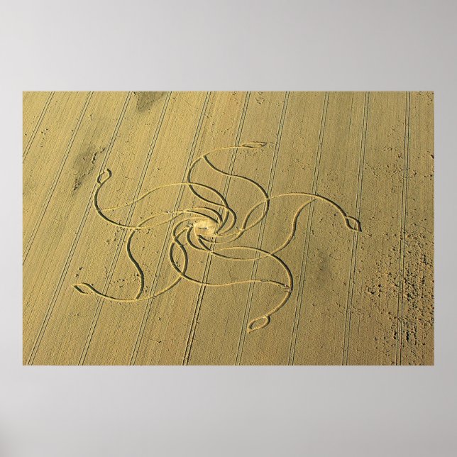 Affiche Cercle de culture à Diessenhofen, Suisse / (Devant)