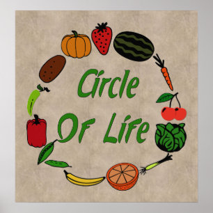 Affiche Cercle De Vie