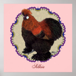 Affiche Cercle Silkie