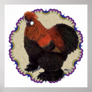 Affiche Cercle Silkie