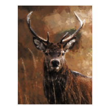 Cerf